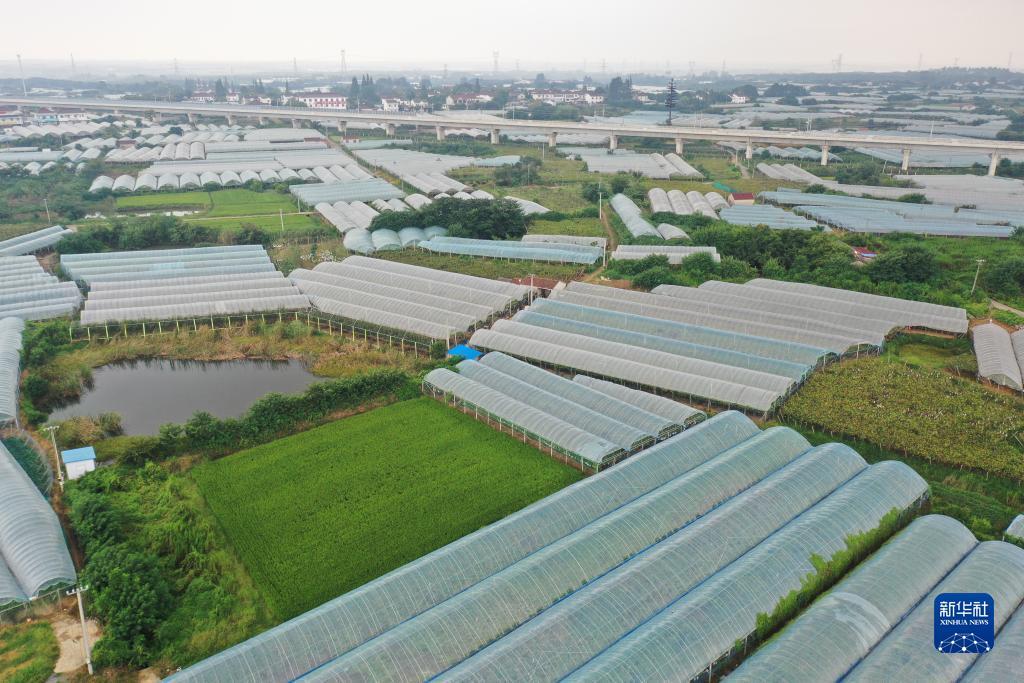 pg游戏官网